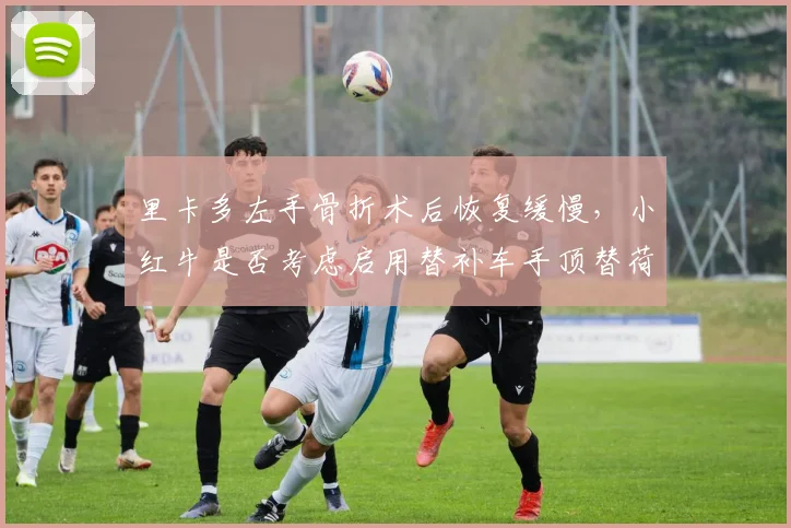 里卡多左手骨折术后恢复缓慢,小红牛是否考虑启用替补车手顶替荷兰站?