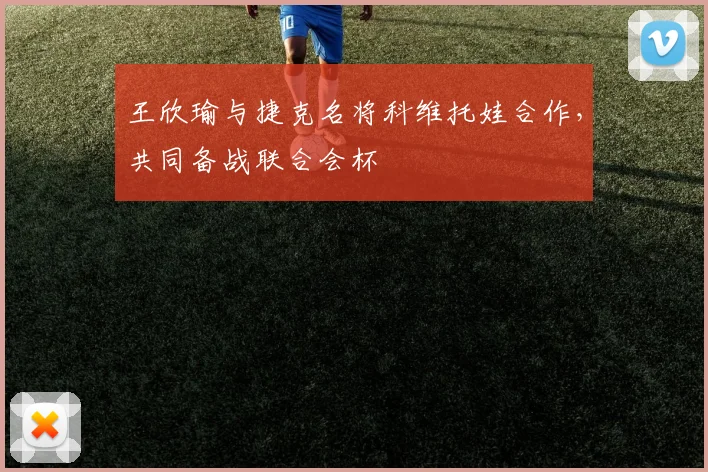 王欣瑜与捷克名将科维托娃合作，共同备战联合会杯